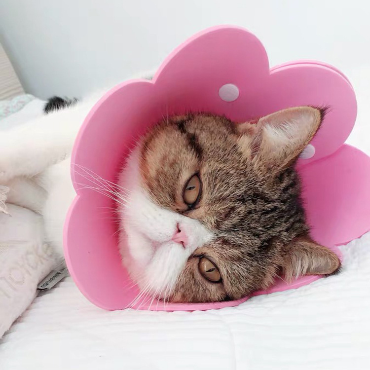 Sunflower Elizabeth Ring EVA Sponge Lightweight Headgear Cat Supplies Neck Ring Anti-Lick Shame Ring for Sterilization